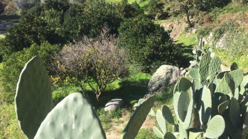 Villa Romeo - Accommodation, Olive Grove & Private Pool
