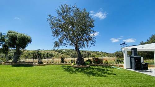 Villa Eden Cip