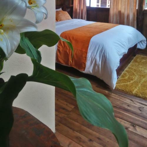 Lodge Hotel Orqu�deas Runtun