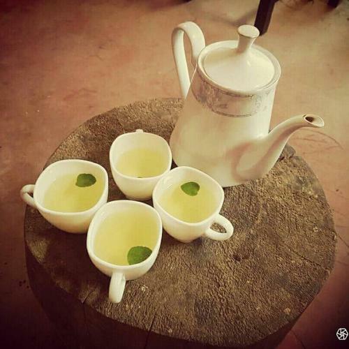 Lodge Hotel Orqu�deas Runtun
