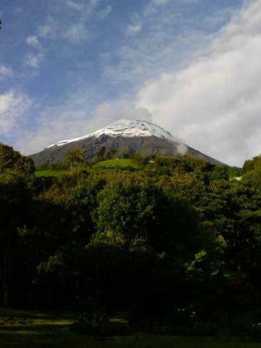 Lodge Hotel Orqu�deas Runtun
