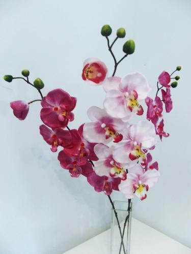 Bed & Breakfast Sunny Italy