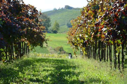 Agroturismo Il Primo Fiore
