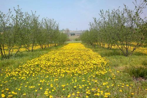 Agroturismo Cascina Dei Giacinti