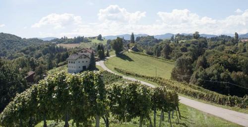 Lodge Winzer Appartements & H�user Kogler