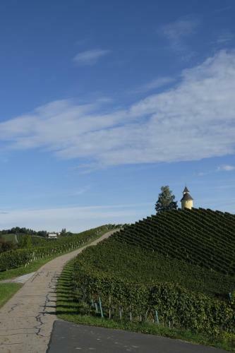 Lodge Winzer Appartements & H�user Kogler