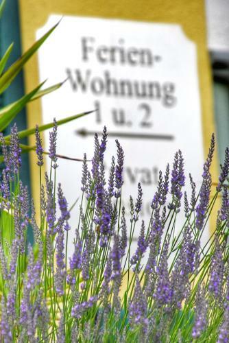 Bed & Breakfast Pension Thermenland