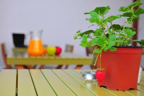 Apartamento Gaudint Barcelona Suites