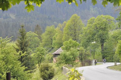 Villa Black Valley House