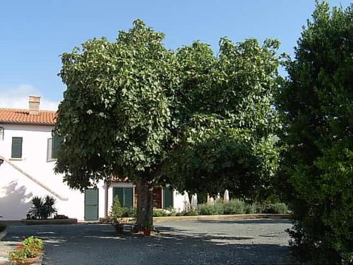 Agroturismo Fattoria La Steccaia