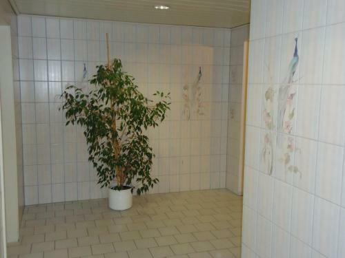 Hostal Landgasthof Unger