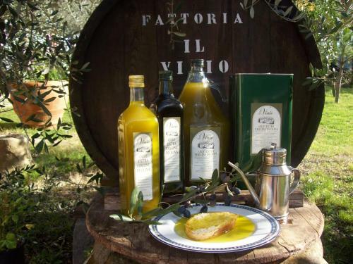 Agroturismo Agriturismo Il Viaio