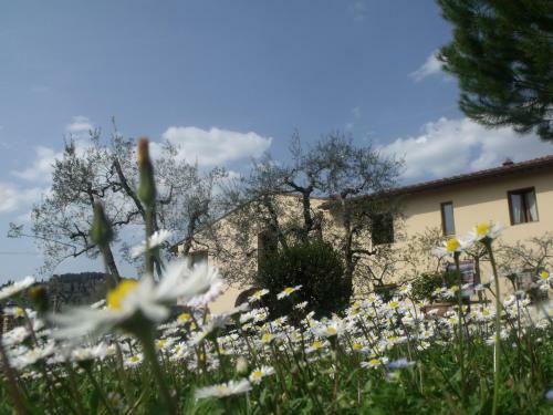 Agroturismo Agriturismo Il Viaio