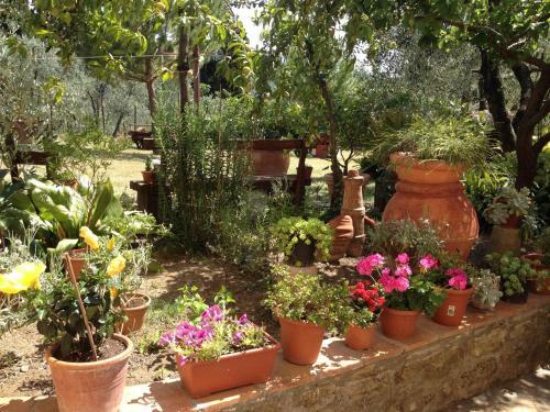 Agroturismo Agriturismo Il Viaio