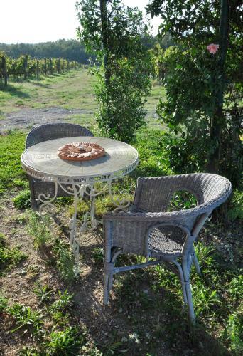 Apartamento Fattoria Santa Lucia Le Tagliate