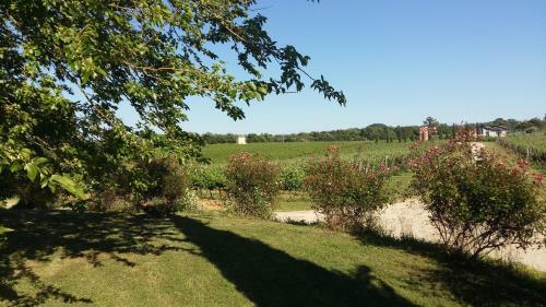 Apartamento Fattoria Santa Lucia Le Tagliate