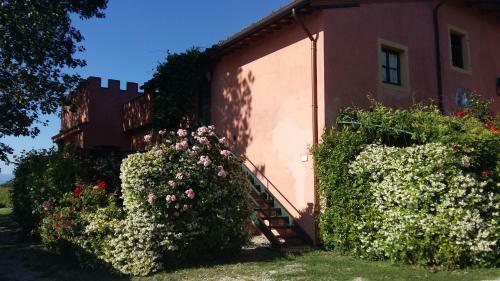 Apartamento Fattoria Santa Lucia Le Tagliate