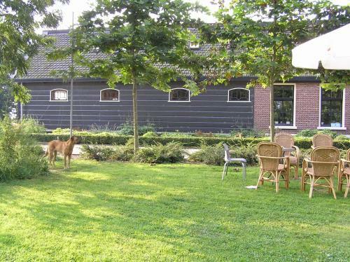 Bed & Breakfast Boerenhofstede De Overhorn