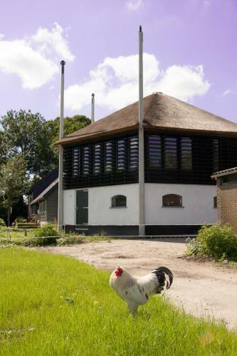 Bed & Breakfast Boerenhofstede De Overhorn