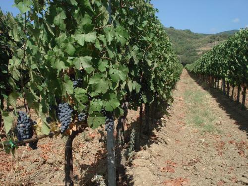 Agroturismo Agriturismo La Fontanella