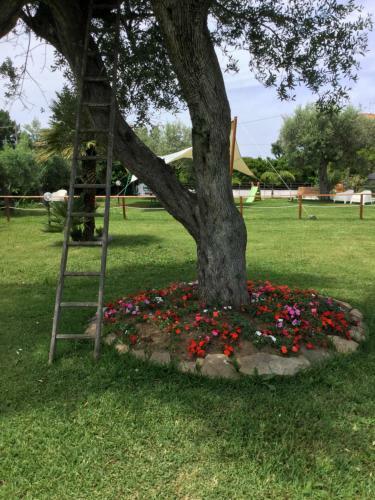 B&B Villa Liberti