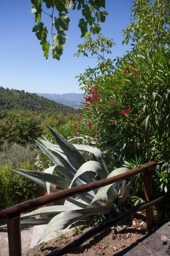 Agroturismo Agriturismo Borgo Mocale