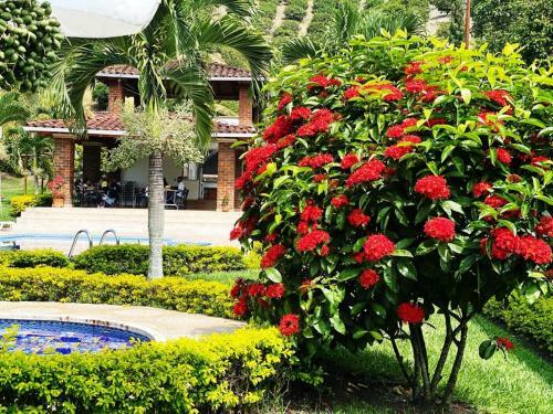 Hotel Finca Campestre La Mar�a