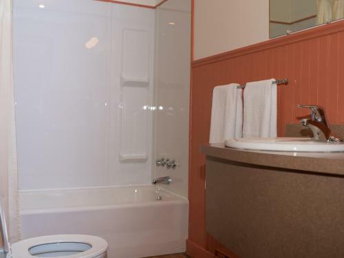 Au Pic De L'aurore Motel-chalets
