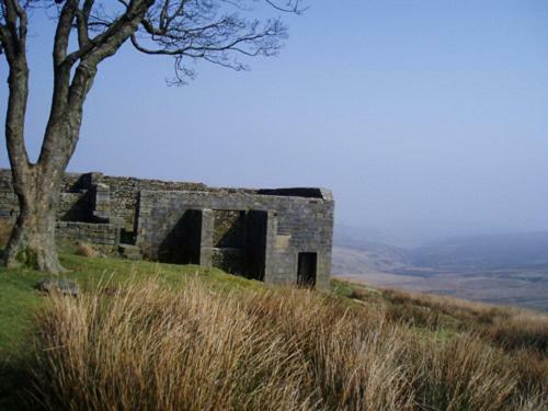 Hostal Rosebud Cottage Guest House