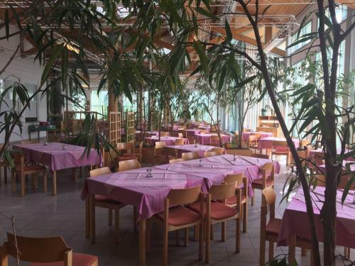 Albergue Junge Hotels Obertrum
