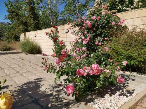 Villa House Of Roses