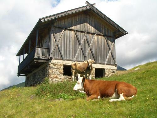 Alpenhotel Sch�nwald