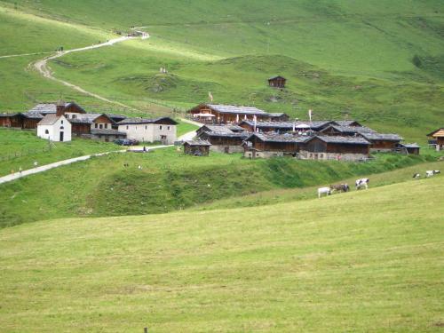 Alpenhotel Sch�nwald
