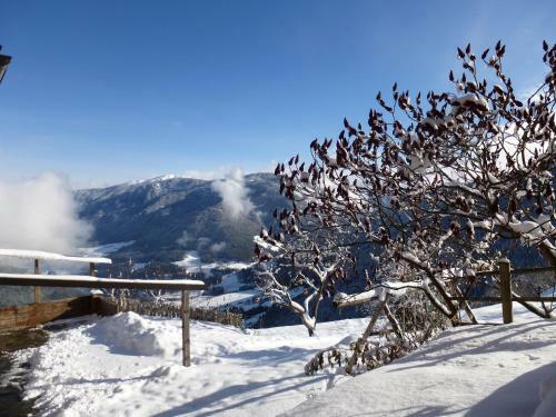 Hotel Berggasthof H�usler