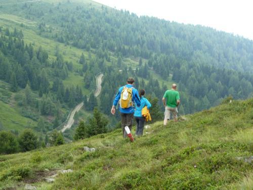 Hotel Berggasthof H�usler