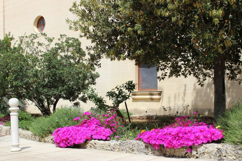 Agroturismo Masseria Pagani