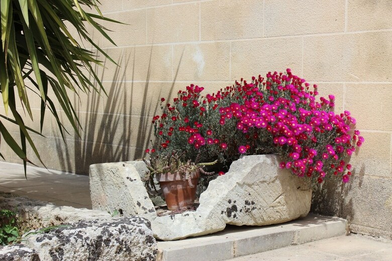 Agroturismo Masseria Pagani