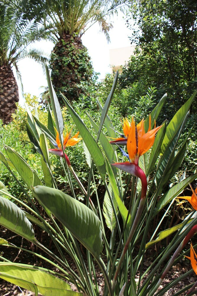 Agroturismo Masseria Pagani