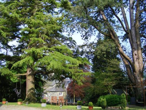 Bed & Breakfast Bodiwan