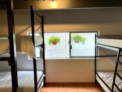Albergue Hostal Top Location Ideal Para Viajeros Polanco