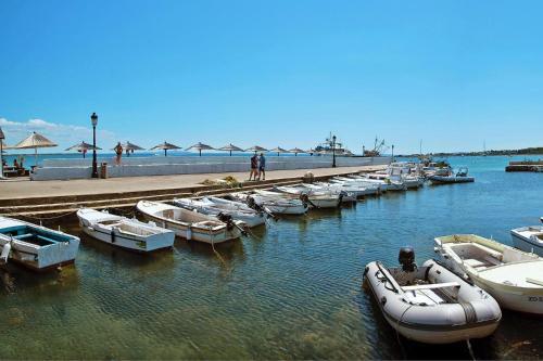 Apartment In Vir Near The Beach