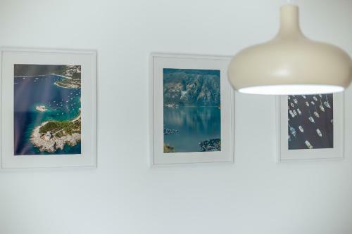 Magnolia Apartments 1 Herceg Novi