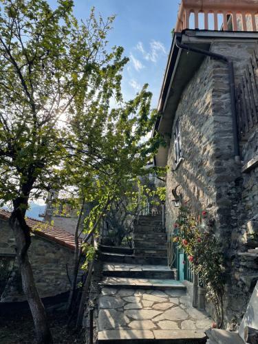 Apartamento Casa Di Nonno Mem� Citra 008035-lt-0018