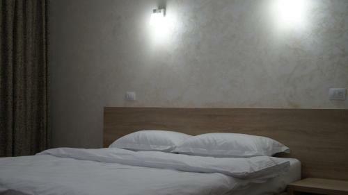 Hostal Vila Ovidiu