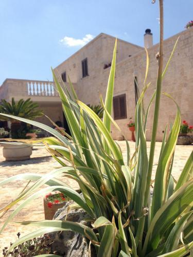 B&B Villa Grassi