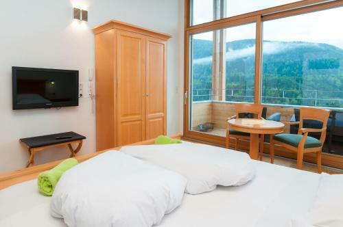 Hotel Panoramik