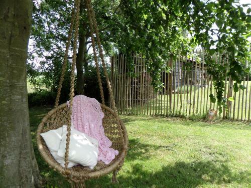 Bed & Breakfast Bellas Artes