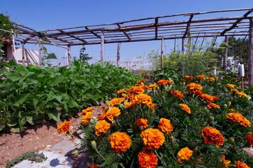 Agroturismo Corte Breda, Agriturismo Bed&breakfast
