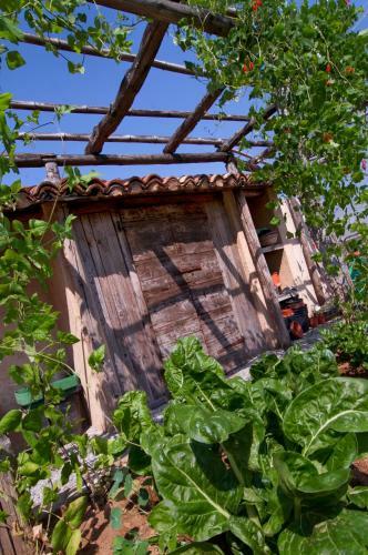 Agroturismo Corte Breda, Agriturismo Bed&breakfast