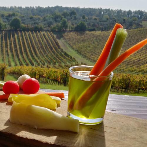 Agroturismo Fattoria La Loggia